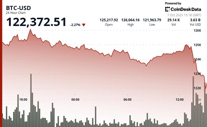 随着加密货币狂热降温,比特币跌至12.2万美元。下一步应该怎么做?