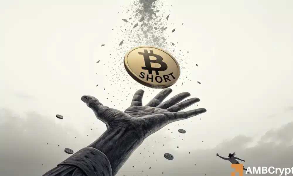 比特币空头、鲸鱼以及未来走势——V 型反弹是否即将到来？